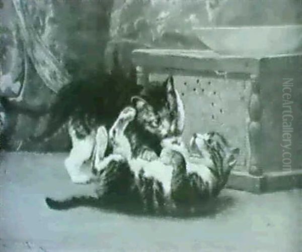 Playful Wrestling Between Kittens - view 1