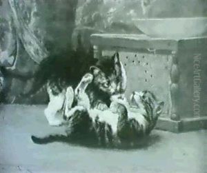 Playful Wrestling Between Kittens by John Henry Dolph