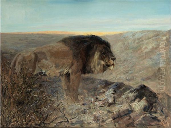 Lowe In Der Abendlandschaft - view 1