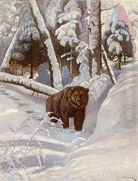 Braunbar Im Tief Verschneiten Wald - view 1