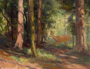 Junger Rehbock Auf Waldlichtung