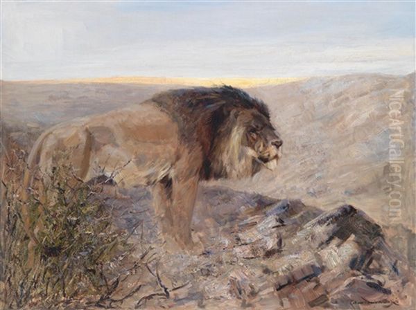 Lowe In Abendlandschaft - view 1