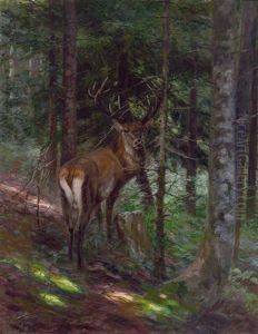 Prachtvoller Vierzehnender Sichert Am Waldrand by Carl von Dombrowski