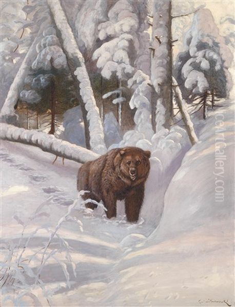 Braunbar Im Winterwald - view 1