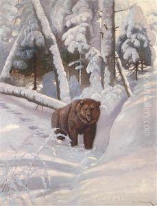 Braunbar Im Winterwald
