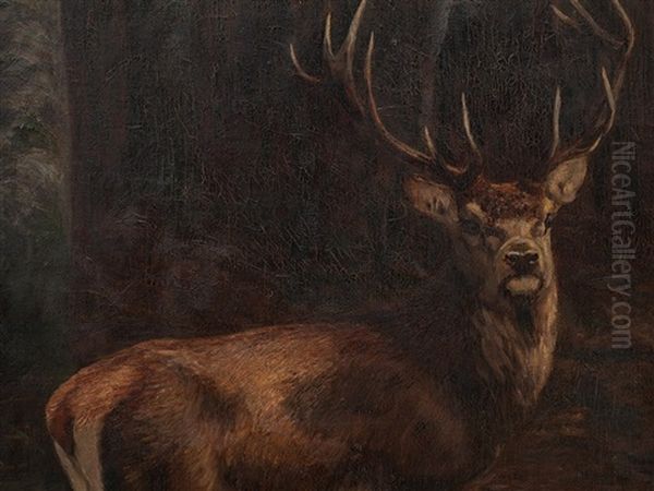 Stag In A Wallow - view 1