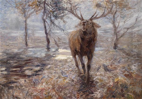 Rohrender Hirsch - view 1