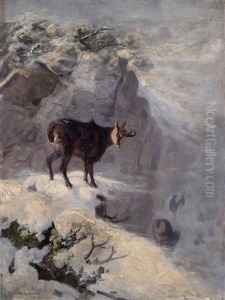 Gemsen Im Winter