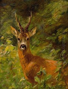 Portrait Eines Rehbockes