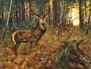 Hirschrudel Vor Sonnendurchfluteter Lichtung