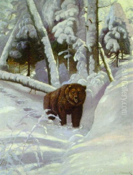 Braunbar Im Winter - view 1