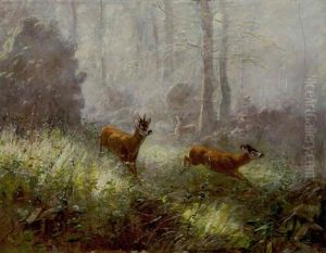 Rehe Und Rehbock Auf Einer Waldlichtung Rehe Und Rehbock Auf Einer Waldlichtung