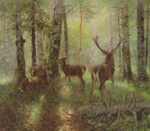 Hirsch Mit Rudel Auf Einer Waldlichtung - view 1