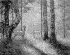 Rehbock Und Geis Auf Waldlichtung