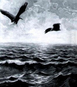 Kreisende Seeadler