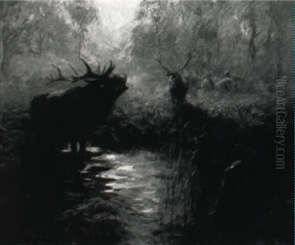 Hirsch Im Wald - view 1