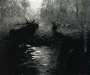 Hirsch Im Wald Hirsch Im Wald