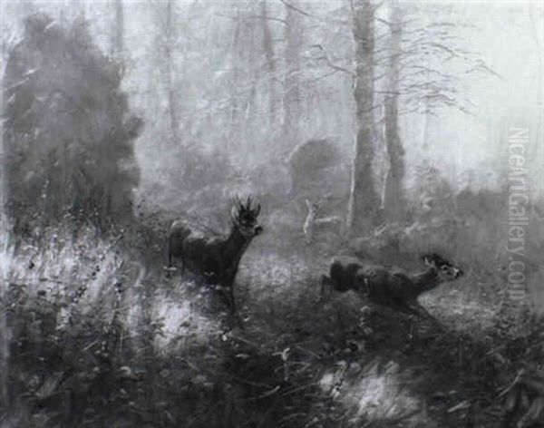 Rehe Im Wald - view 1