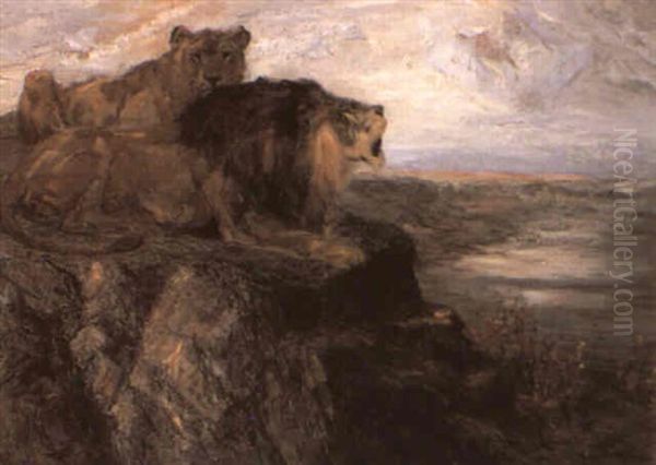King Of The Wild - view 1