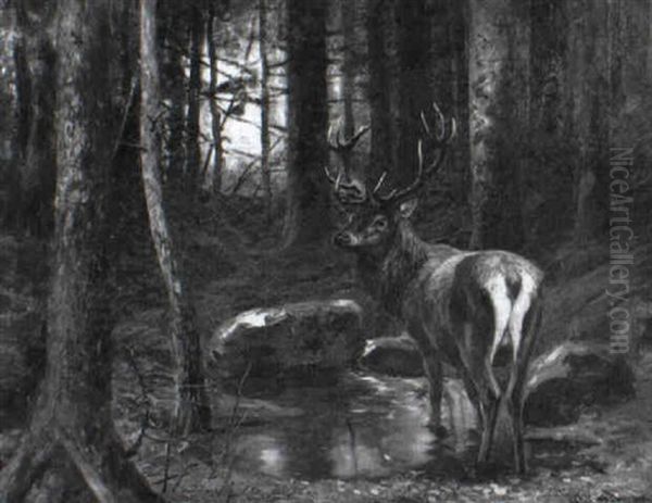 Hirsch An Der Tranke - view 1