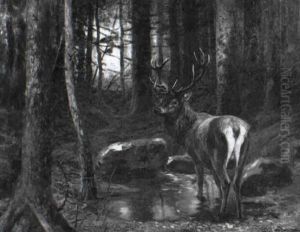 Hirsch An Der Tranke Hirsch An Der Tranke