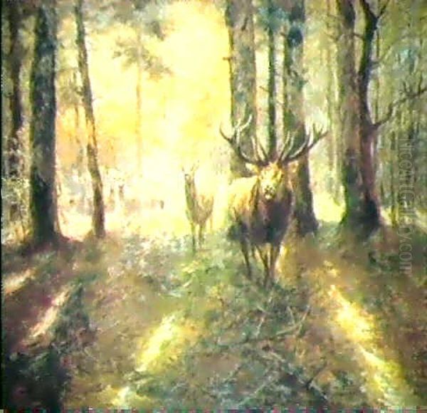 Hirschrudel In Einer Waldlichtung - view 1