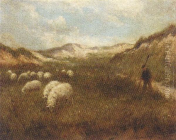Duingezicht La Panne: Guiding The Flock Through The Dunes - view 1