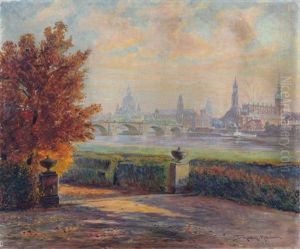 Blick Vom Japanischen Palais Auf Die Altstadt Von Dresden