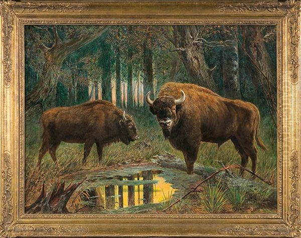 Bisons - view 1