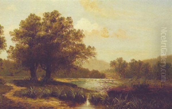 The Riverside Path - view 1