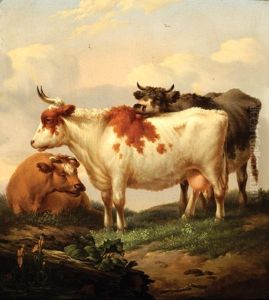 Three Cows by Dionys van Dongen