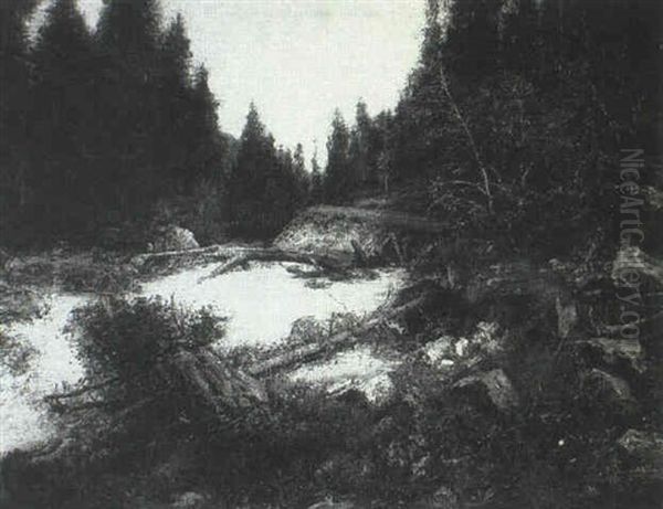 A Wooded Mountain Landscape - view 1