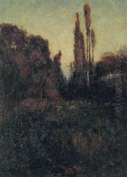 Bords De Foret - view 1