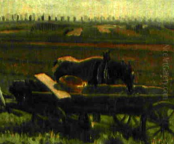 Ackergaul - view 1