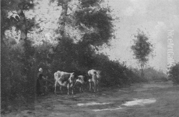 Kuhe Am Weidegatter - view 1