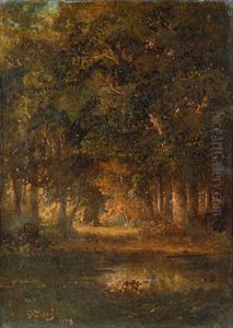 Paysage De Sous Bois