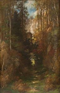 Sous-bois