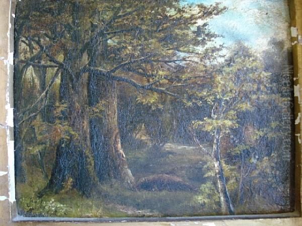 Woodland Scene - view 1