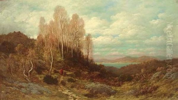 Scottish Landscape - view 1