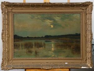 Clair De Lune Sur Les Marecages