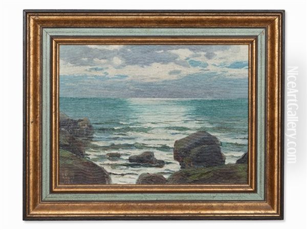 Calm Ocean - view 1