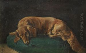 Portrait Of A Daschshund On A Green Cushion by Ernst Dorn