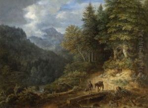 Bewaldetes Gebirgstal