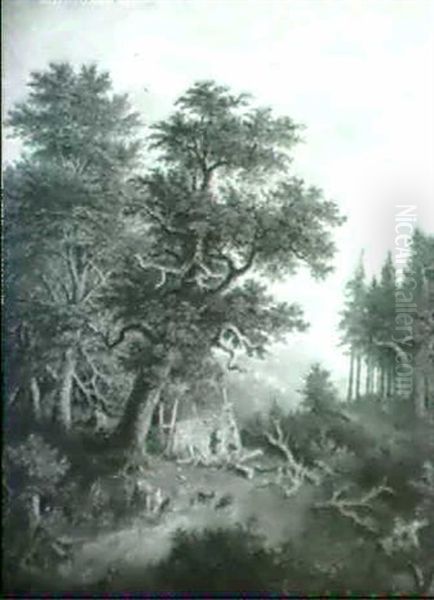 Waldlandschaft. - view 1