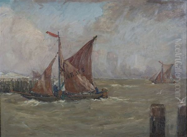De Platbodem Arnemuiden 2 Loopt De Haven Binnen - view 1