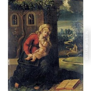 Madonna And Child With A Book by Battista (de Luteri) Dossi