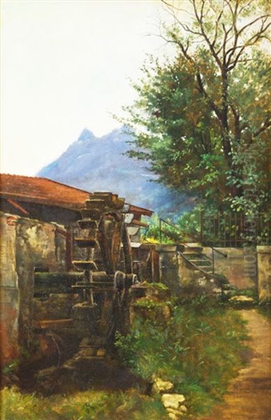 Mlyn - view 1