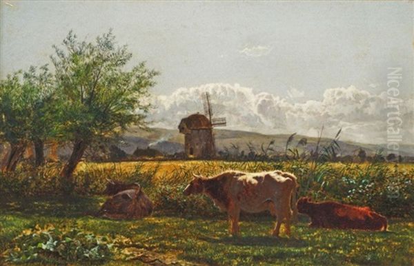 In The Fields - view 1