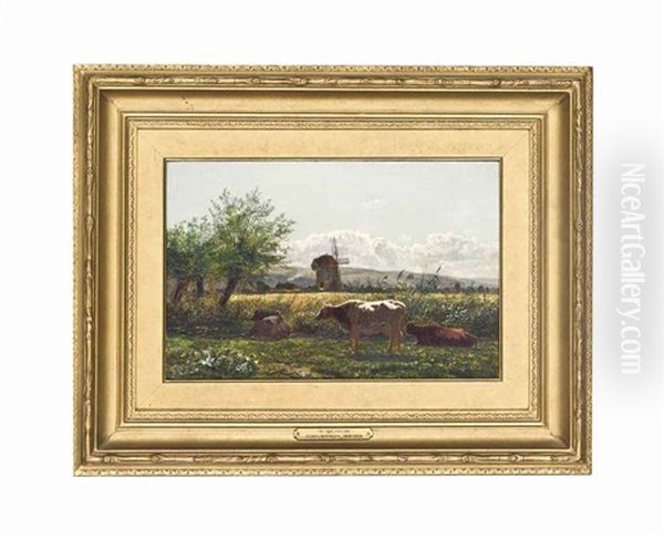 In The Fields - view 1