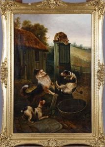 Chiens Et Chats A La Fontaine Chiens Et Chats A La Fontaine
